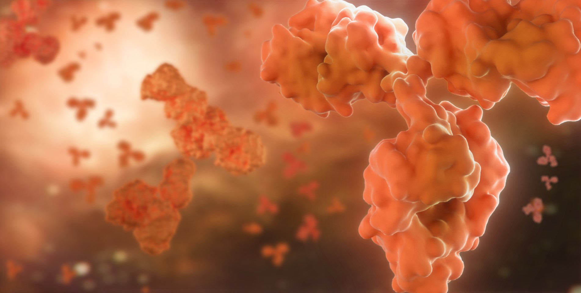 bc贷官方网站入口